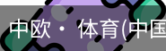 中欧·